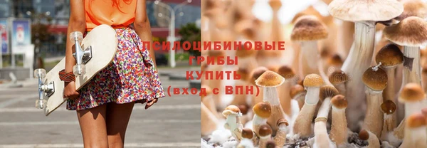 трава Бородино