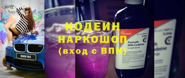 трава Бородино