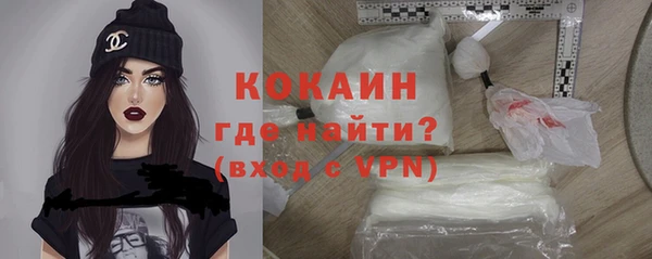 трава Бородино
