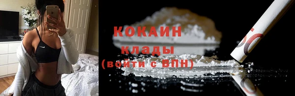 трава Бородино